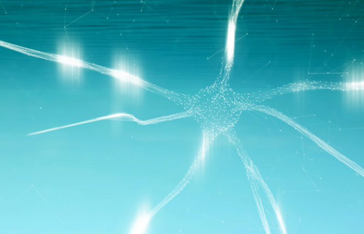 neurofilaments header image