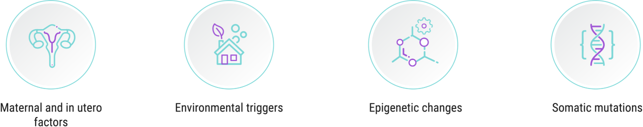 Icons of: maternal and in utero factors; environmental triggers; epigenetic changes; somatic mutations