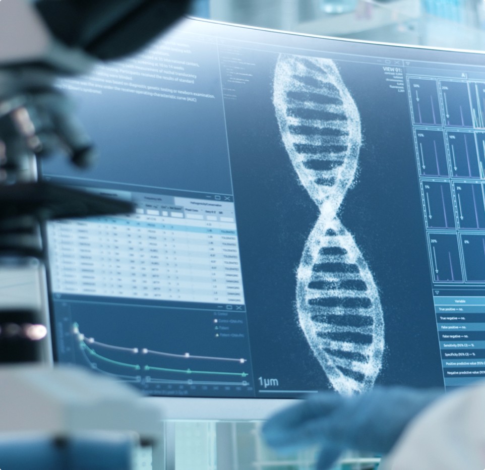 Genetic tests and DNA’s structure 