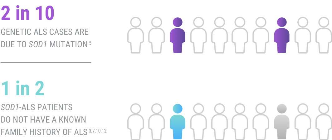 Infographic showing that 2 in 10 genetic ALS cases are due to SOD1 mutation and that 1 in 2 SOD1 ALS patients have no family history.