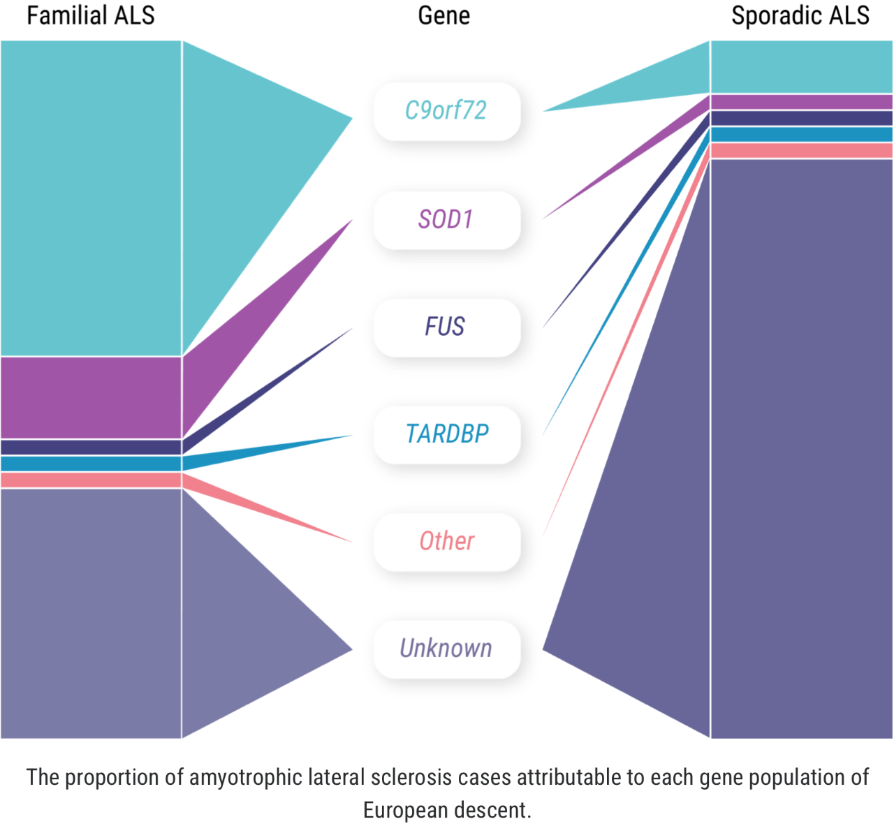 Visual representation of proportion of ALS cases across gene mutations.