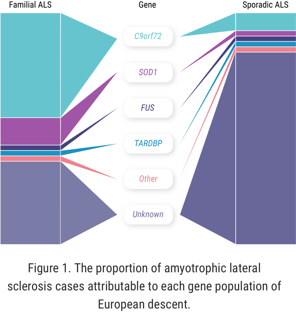 Visual representation of proportion of ALS cases across gene mutations.